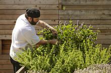 Herb beds in garden - Photo Credit: Matthew Millman